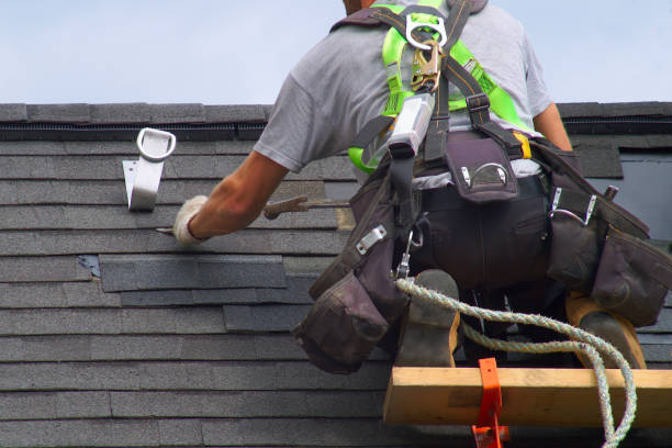 Best Affordable Roofing Company  in Lomira, WI