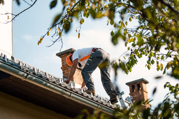 Best Roof Repair Services  in Lomira, WI
