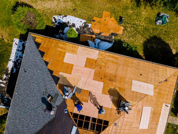 Best Metal Roofing Contractor  in Lomira, WI