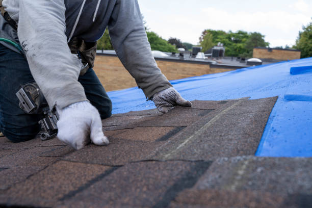 Best Best Roofing Contractors  in Lomira, WI