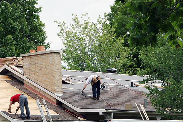 Best Roof Maintenance Services  in Lomira, WI