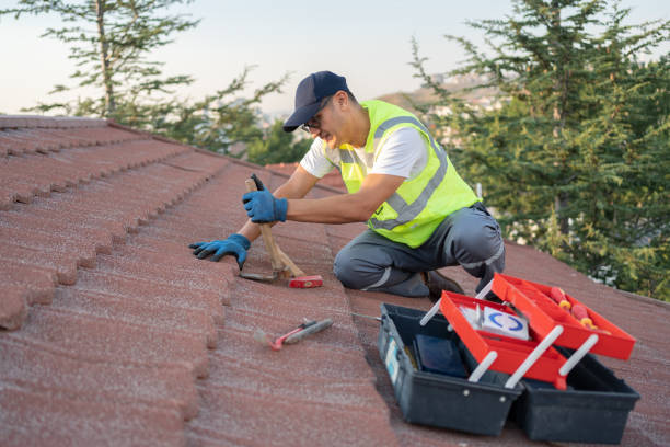 Best Affordable Roof Replacement  in Lomira, WI