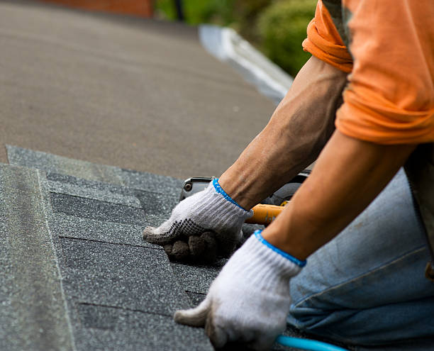 Best Best Roofing Contractors  in Lomira, WI