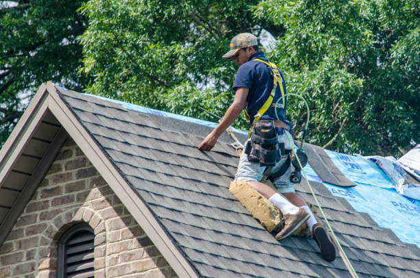 Best Gutter Installation and Roofing  in Lomira, WI